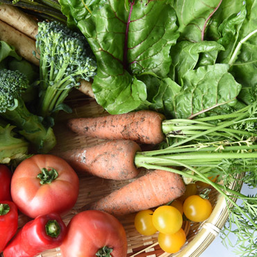 Shinshu traditional vegetables